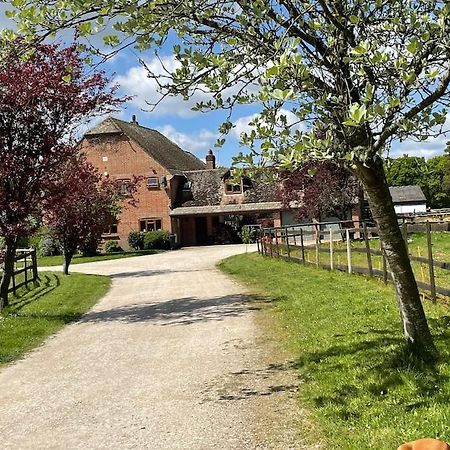 Self Catering Apartment, Jurassic Coast/Dorset Wareham Ngoại thất bức ảnh