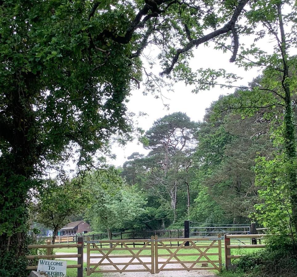 Self Catering Apartment, Jurassic Coast/Dorset Wareham Ngoại thất bức ảnh