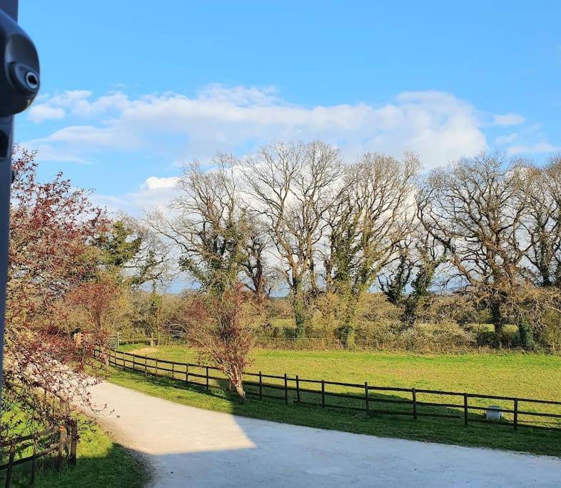 Self Catering Apartment, Jurassic Coast/Dorset Wareham Ngoại thất bức ảnh