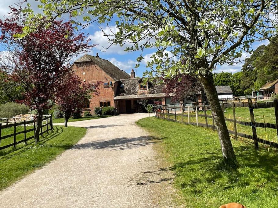 Self Catering Apartment, Jurassic Coast/Dorset Wareham Ngoại thất bức ảnh