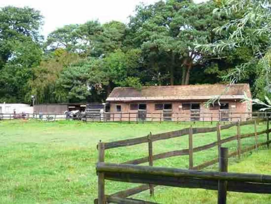 Self Catering Apartment, Jurassic Coast/Dorset Wareham Ngoại thất bức ảnh