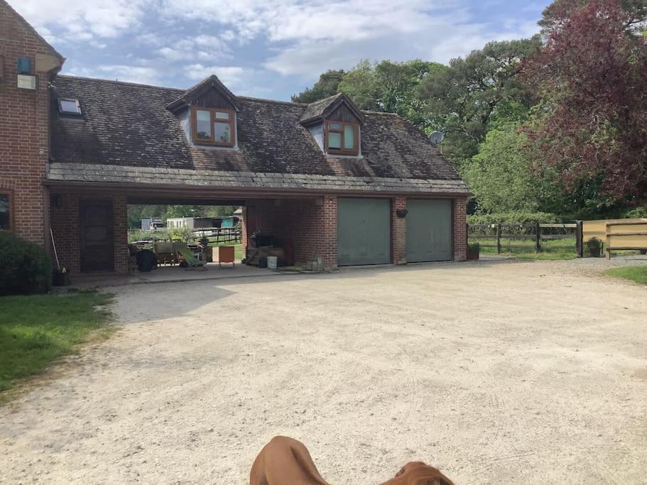 Self Catering Apartment, Jurassic Coast/Dorset Wareham Ngoại thất bức ảnh